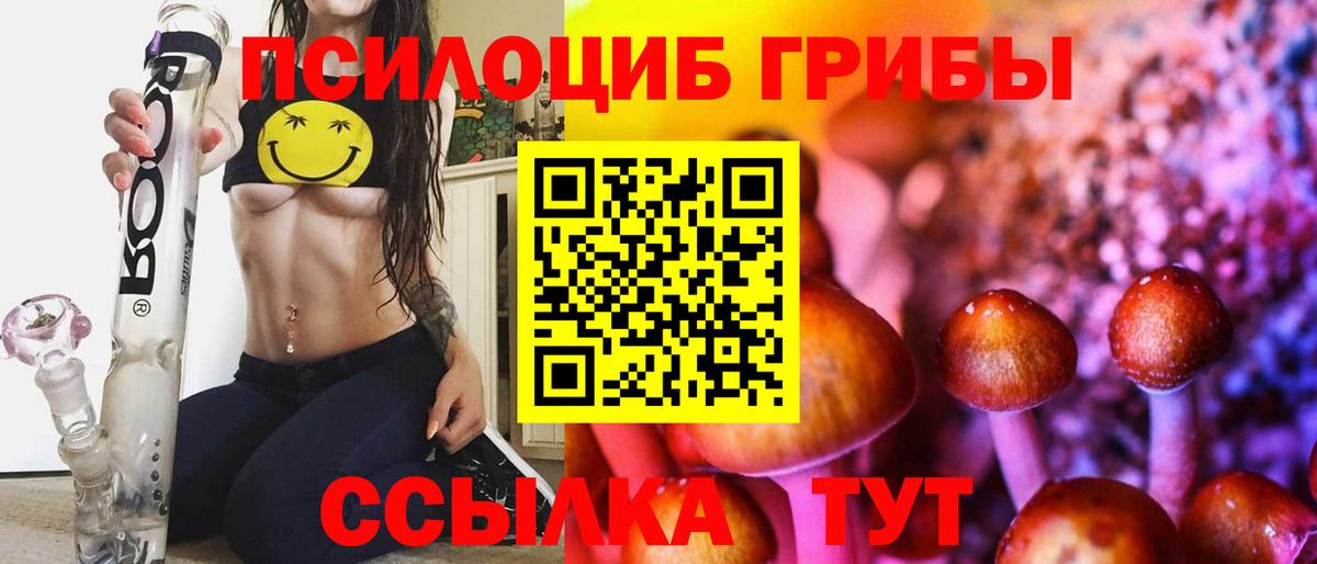 Подольск  Галлюциногенные грибы прущие грибы  Вход с VPN  Псилоцибиновые грибы GOLDEN TEACHER 