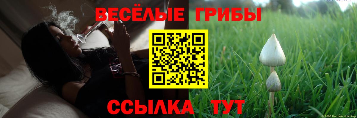 Галлюциногенные грибы мухоморы Подольск